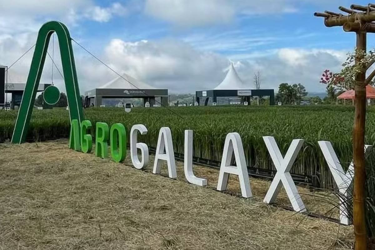 Juíza de Goiânia homologa plano de recuperação judicial do grupo AgroGalaxy