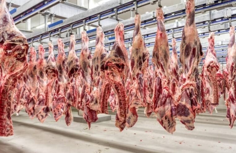 Exportação de carne bovina cresce 23,3% em volume e alcança US$ 1,42 bilhão em junho
