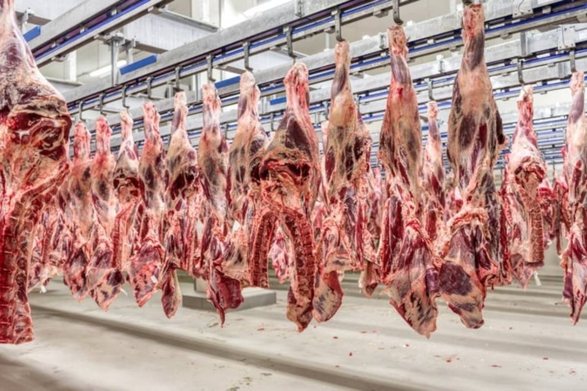 Exportação de carne bovina cresce 23,3% em volume e alcança US$ 1,42 bilhão em junho