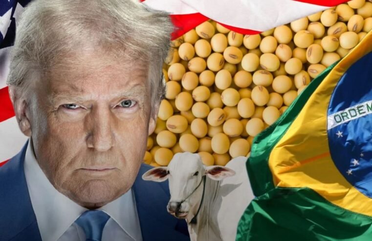 Trump cumpre promessa e impõe tarifa de 50% sobre produtos do Brasil