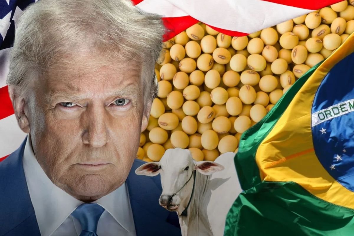 Trump cumpre promessa e impõe tarifa de 50% sobre produtos do Brasil