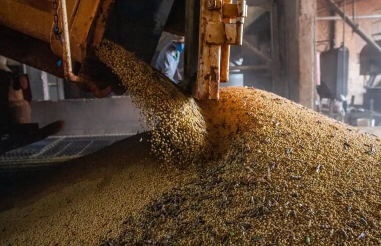 Vice-presidente da Fieg vê possível acordo para commodities após tarifaço de Trump, mas alerta para risco à indústria