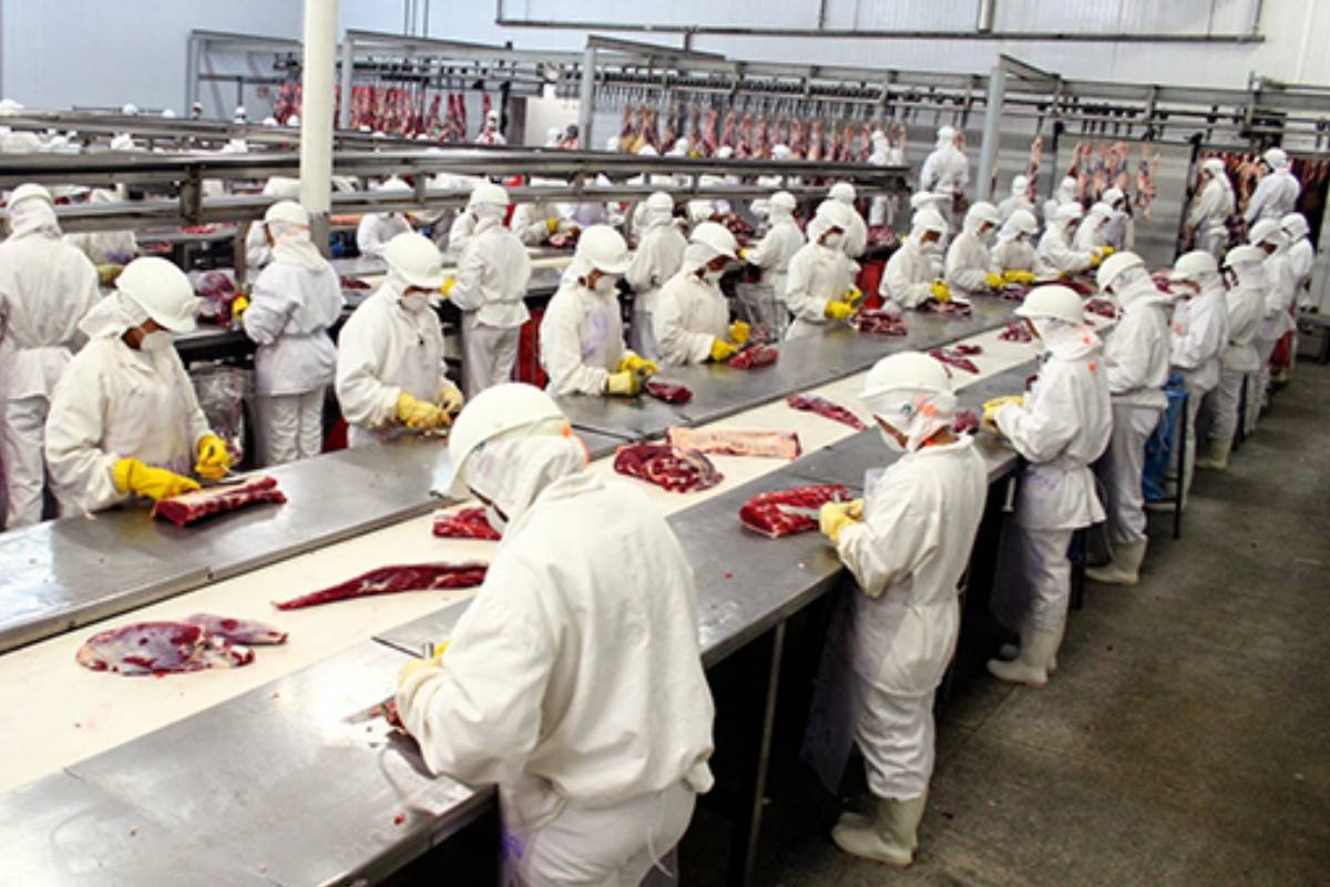 Tarifa de Trump sobre carne brasileira afeta frigoríficos em MS e Goiás