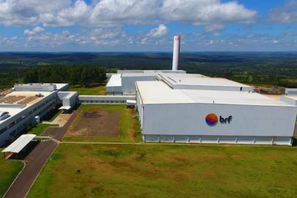 Avicultores de Mineiros anunciam paralisação dos alojamentos vinculados à BRF