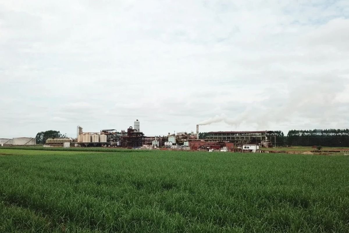 Raízen afirma que não há previsão de fechamento de usinas em Rio Brilhante (MS)