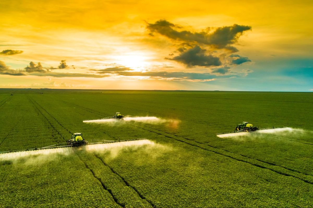 Cotações do Agro – Sindicato Rural de Jataí divulga preços do dia 29 de julho de 2025
