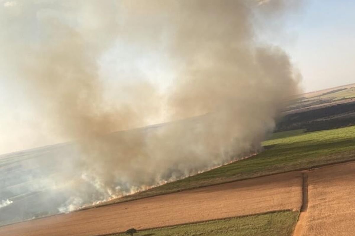 Incêndio em lavouras mobiliza brigada aérea e produtores rurais em Rio Verde (GO)