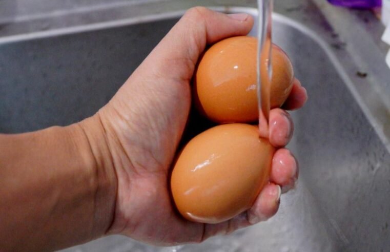 Lavar ou não os ovos? Especialistas explicam cuidados essenciais com o alimento