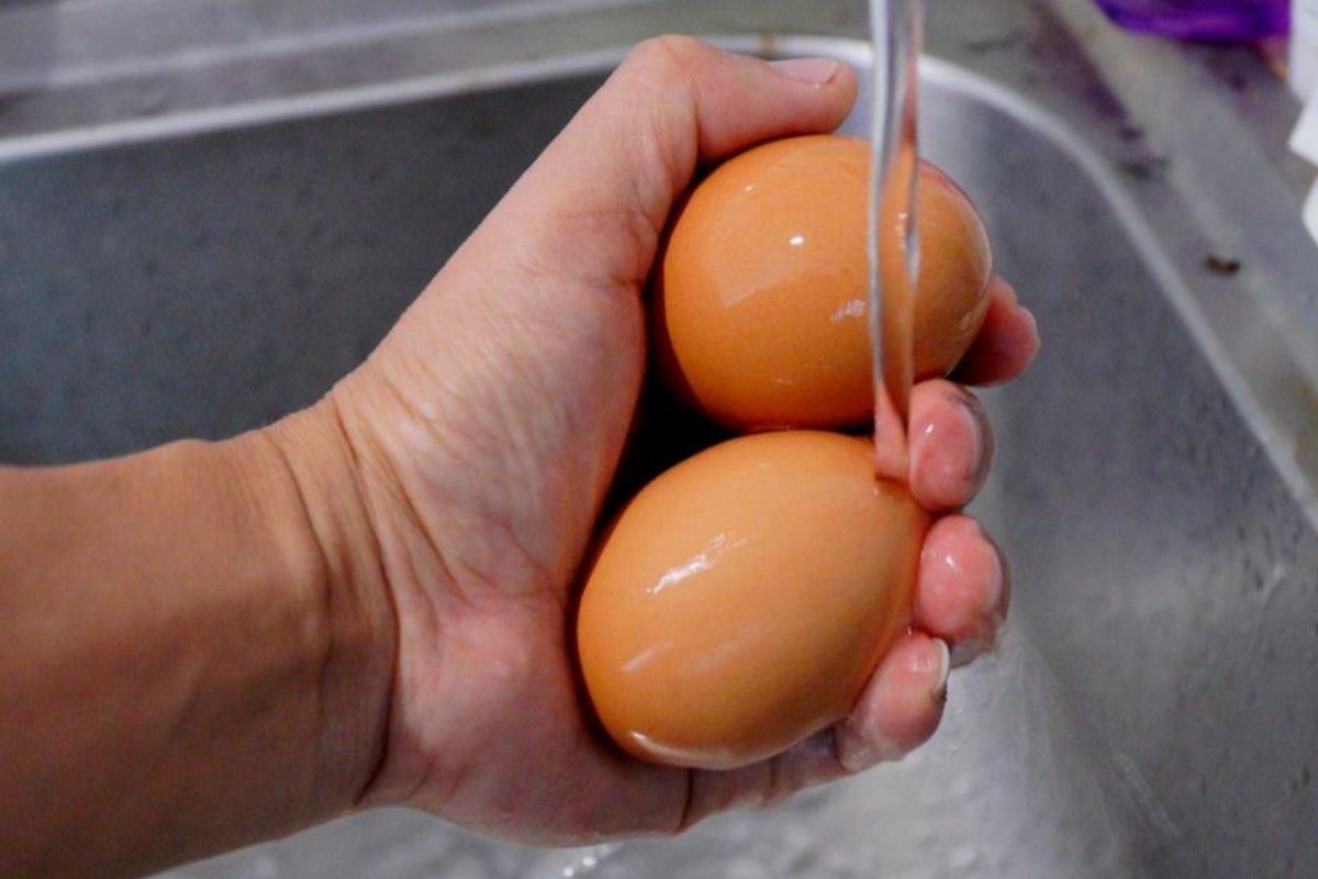 Lavar ou não os ovos? Especialistas explicam cuidados essenciais com o alimento