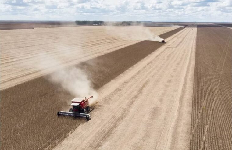 Pesquisa revela contraste entre riqueza do agro e qualidade de vida nas 50 cidades com maior PIB rural do país