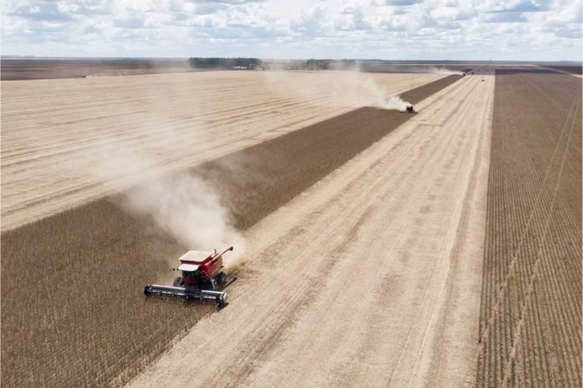 Pesquisa revela contraste entre riqueza do agro e qualidade de vida nas 50 cidades com maior PIB rural do país
