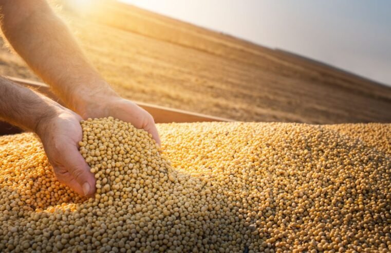 Cotações do Agro: Sindicato Rural de Jataí divulga preços desta sexta-feira (29/08)