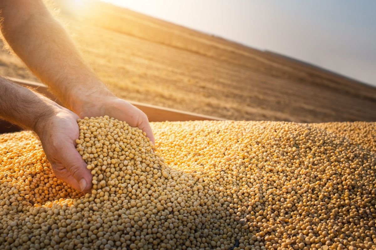 Cotações do Agro: Sindicato Rural de Jataí divulga preços desta sexta-feira (29/08)