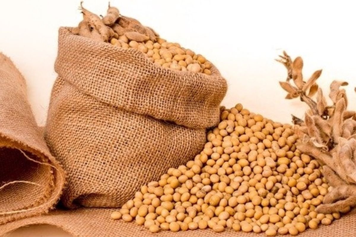 Acordo para exportação do sorgo brasileiro abre nova fronteira de mercado e fortalece agro nacional