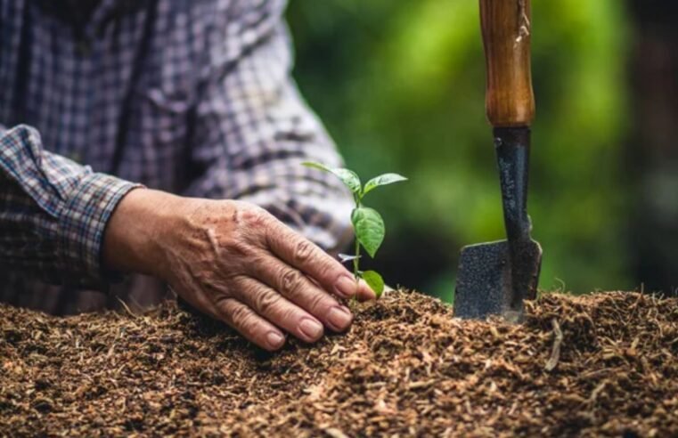 Justiça mantém liminar que suspende cobrança de dívida de produtor rural com Sicredi em Goiás