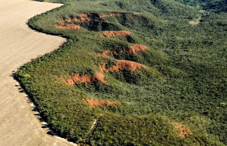 Licença ambiental por autodeclaração, sancionada por Lula, já é realidade em Goiás desde 2019