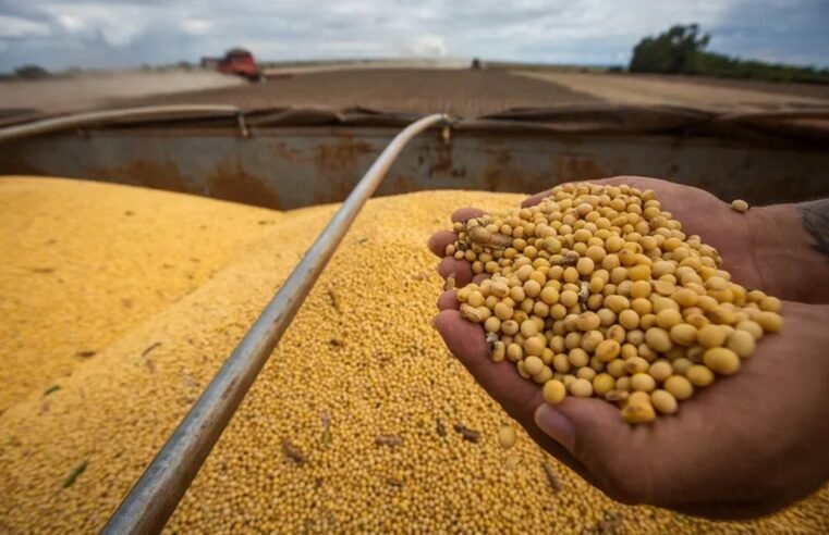 Safra de grãos 2024/2025 deve bater recorde histórico com 345,9 milhões de toneladas, aponta Conab