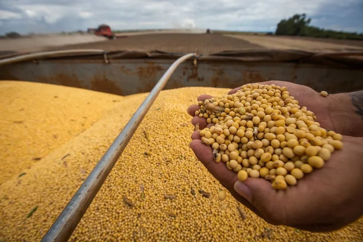 Governo anuncia Plano Safra 2025/26 e pacote de socorro ao tarifaço, mas agro vê medidas como paliativas