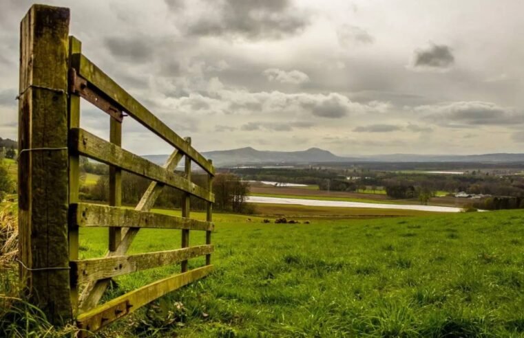 ITR 2025: Declaração começa nesta segunda com novidades e prazo até 30 de setembro