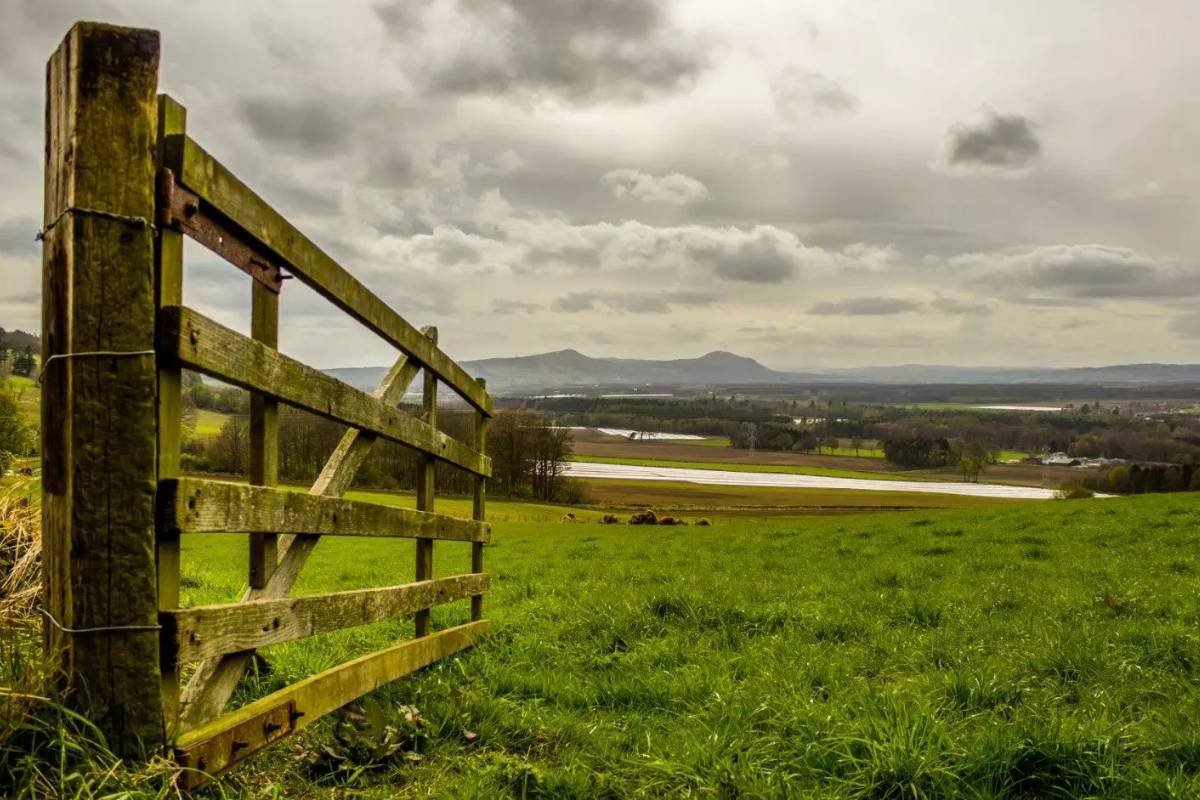 ITR 2025: Declaração começa nesta segunda com novidades e prazo até 30 de setembro