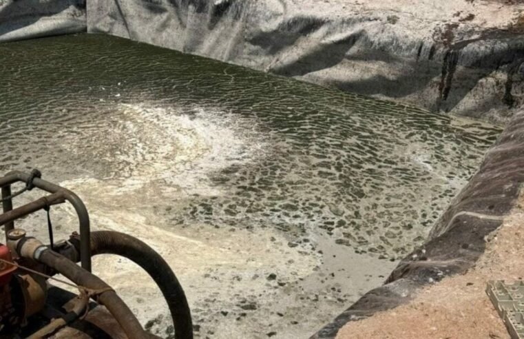 Fiscais fecham quatro abatedouros e pesqueiros clandestinos em Inaciolândia