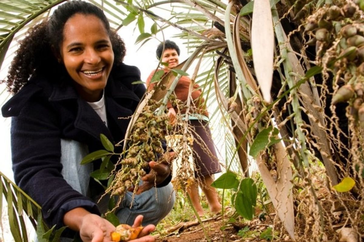 Mulheres no campo somam 6 milhões e impulsionam a economia rural brasileira
