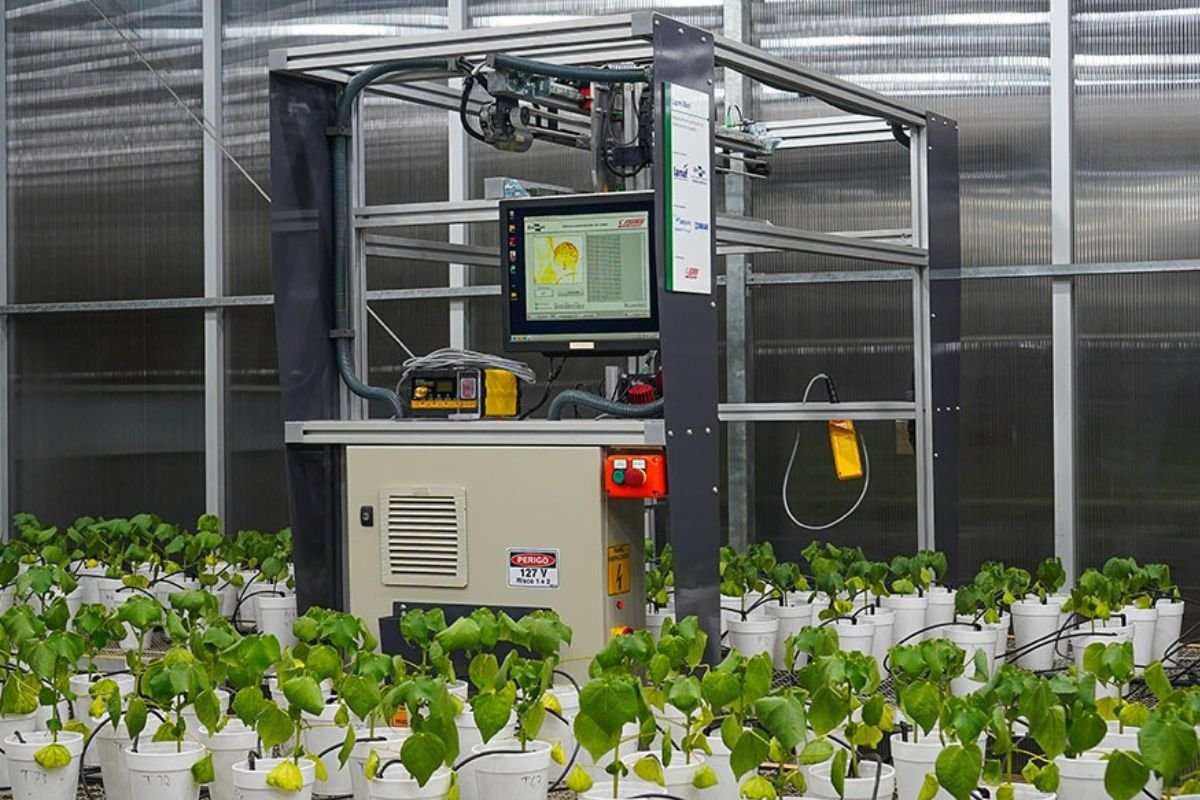 Robô LumiBot usa luz para diagnóstico precoce de nematoides em algodão e soja