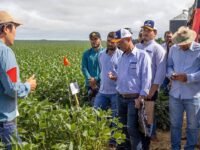 Dia de Campo da DK em Jataí reúne produtores rurais para apresentação de pesquisas agronômicas aplicadas