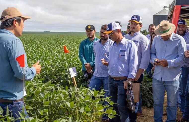 Dia de Campo da DK em Jataí reúne produtores rurais para apresentação de pesquisas agronômicas aplicadas