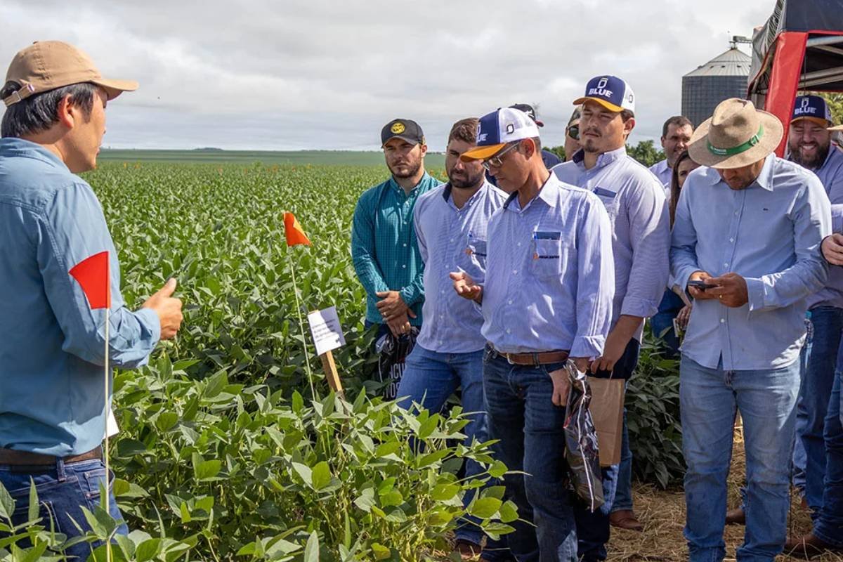 Dia de Campo da DK em Jataí destaca pesquisa aplicada no campo