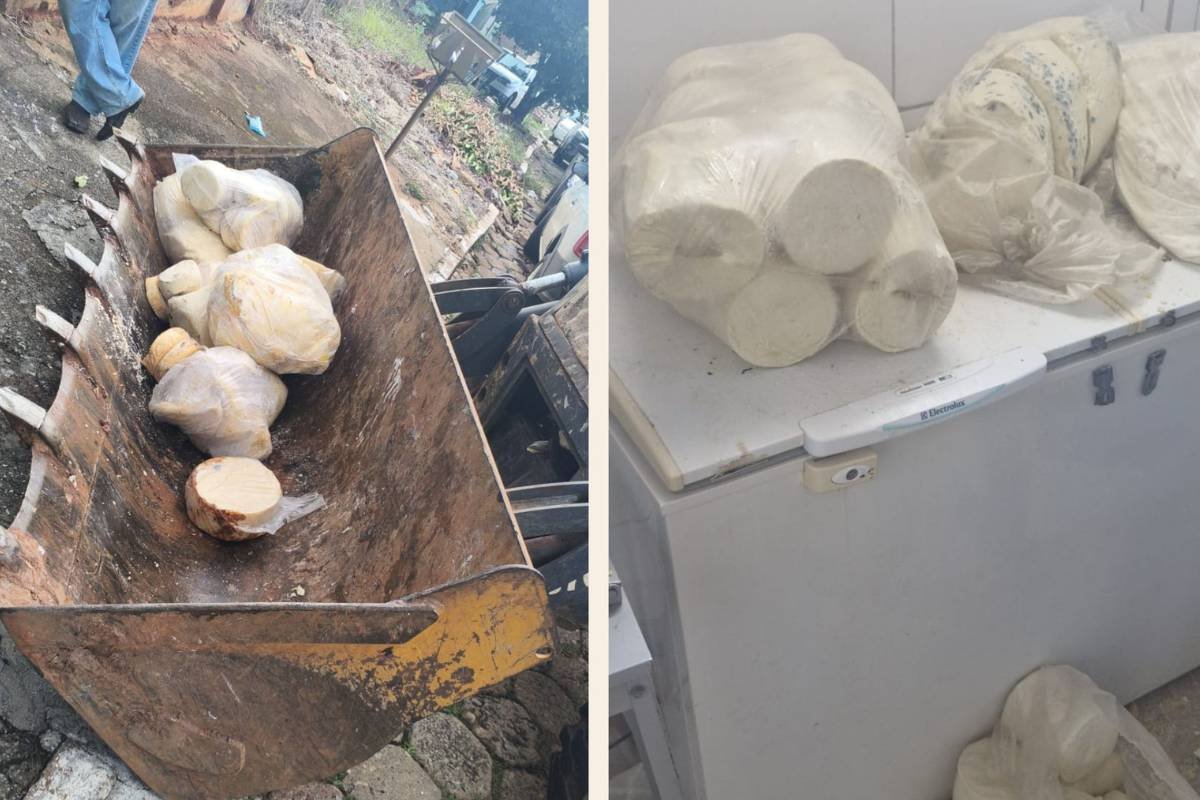 Fiscalização do MPGO flagra produção irregular de laticínios e resulta em prisão em Itauçu