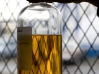 Reunião do CNPE discute regras para biodiesel importado no Brasil