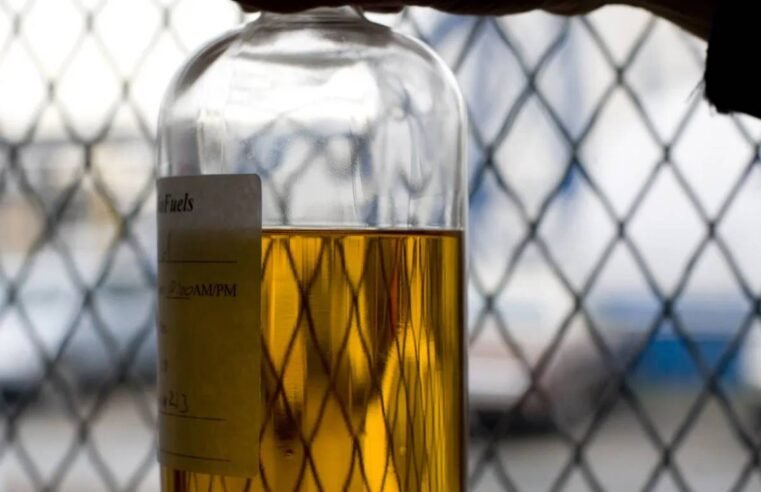 Reunião do CNPE discute regras para biodiesel importado no Brasil