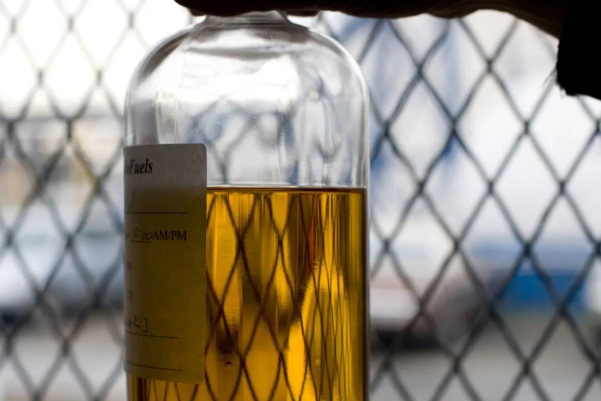 CNPE pode abrir espaço para biodiesel importado em nova regra do setor