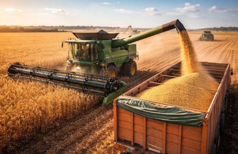 colheitadeira colhendo soja em lavoura brasileira durante safra