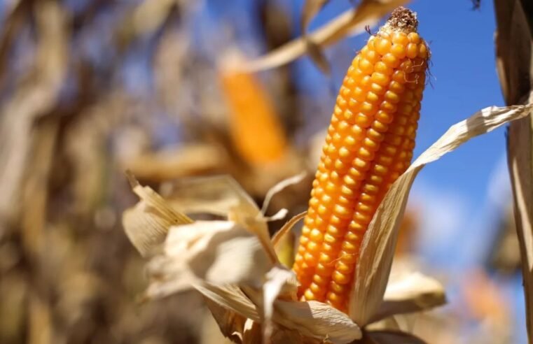 Bomba de combustível com indicação de etanol E15 nos Estados Unidos