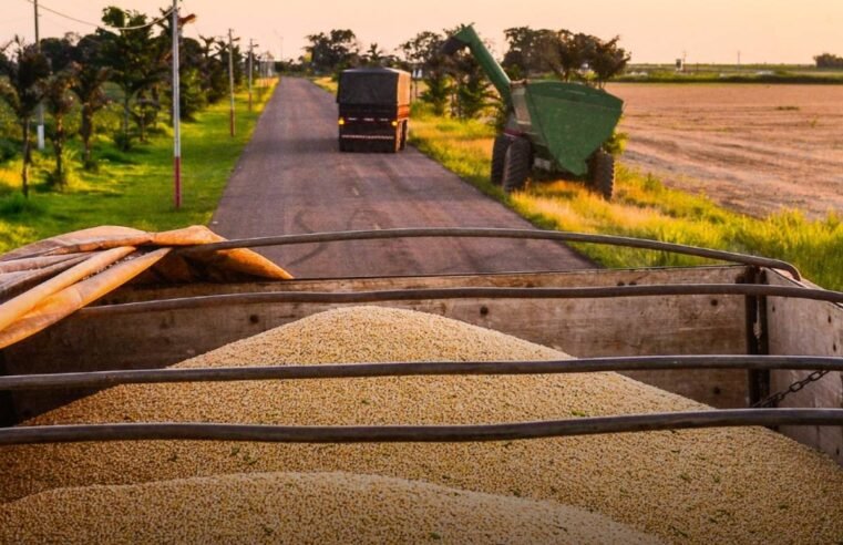 Soja brasileira destinada à exportação para a China enfrenta controles fitossanitários mais rígidos