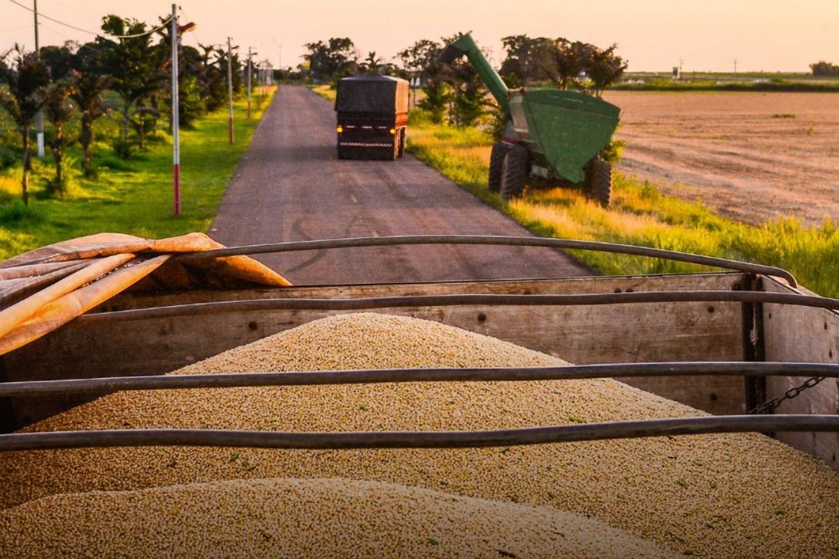 Controles fitossanitários mais rígidos reduzem oferta e elevam preço da soja brasileira exportada para a China