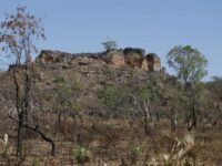 Imagem de satélite mostrando áreas agrícolas abandonadas no Cerrado identificadas por inteligência artificial