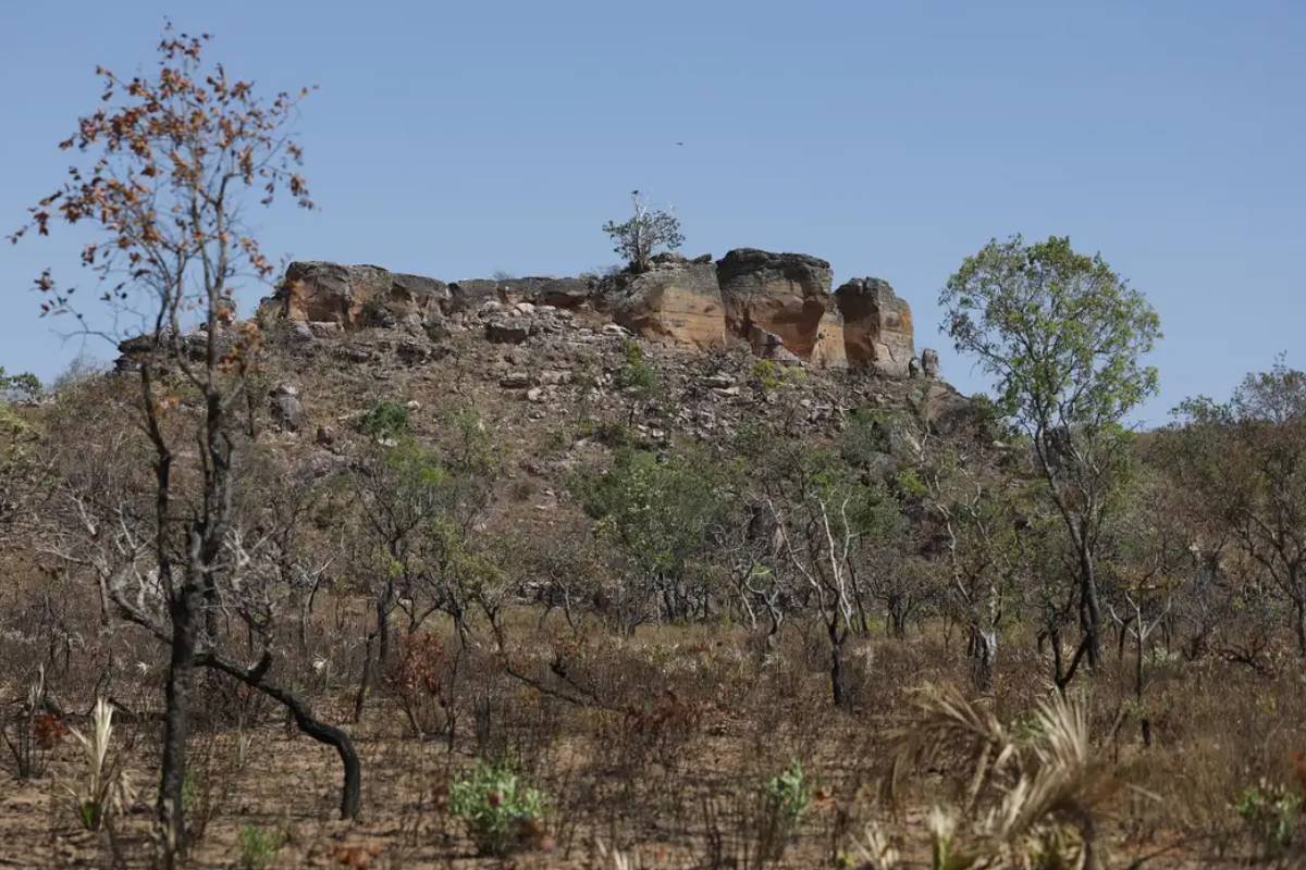 Inteligência artificial identifica terras agrícolas abandonadas no Cerrado e abre caminho para restauração ambiental