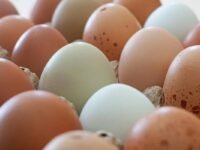 Aumento no preço de ovos, frango e carne no Brasil devido à guerra entre EUA e Irã