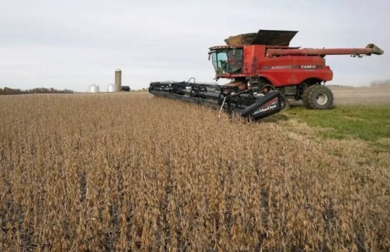 Plantação de soja no Brasil durante safra 2025 2026 com alta produtividade