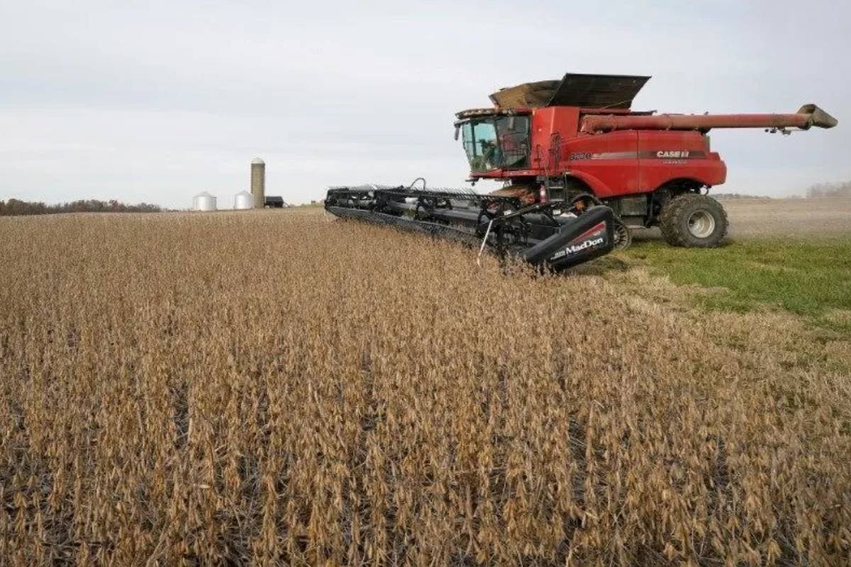 Produção de soja no Brasil deve atingir 184,7 milhões de toneladas na safra 2025/2026