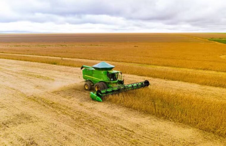 Safra de grãos de 2026 deve cair 0,6% e chegar a 344,1 milhões de toneladas, aponta IBGE