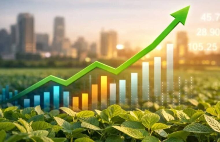 Como funciona o financiamento do agronegócio no Brasil