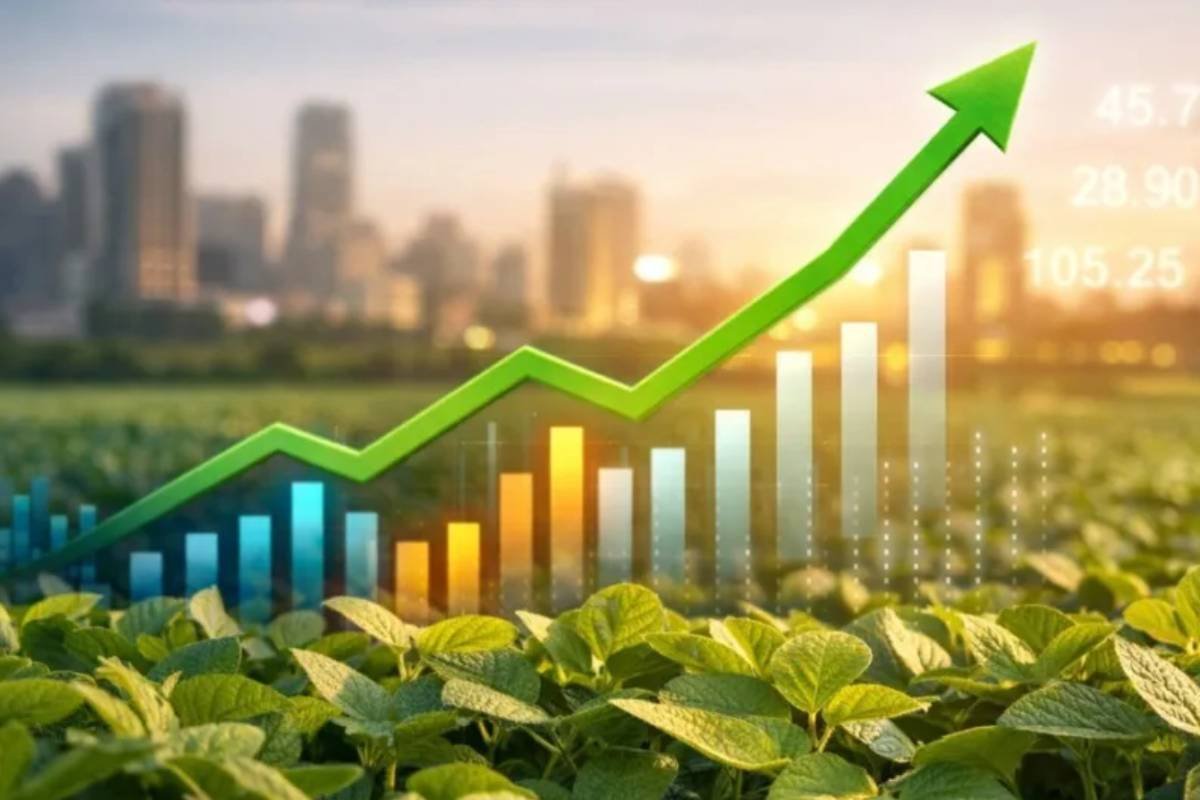 Como funciona o financiamento do agronegócio no Brasil