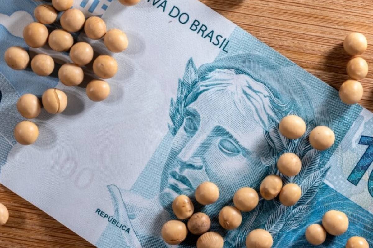 O que influencia o preço da soja no Brasil