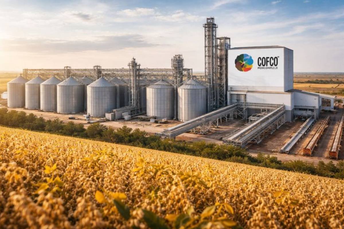 Gigante chinesa chega com tudo à capital do agro no Brasil, vai investir mais de R$ 2 bilhões e pode transformar a cidade no maior polo de esmagamento de soja do país