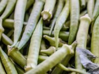 Agricultores familiares recebem pagamento do Garantia-Safra em abril de 2026