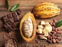 Tabela com novos percentuais mínimos de cacau em chocolates aprovados pelo Senado